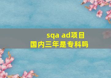 sqa ad项目国内三年是专科吗